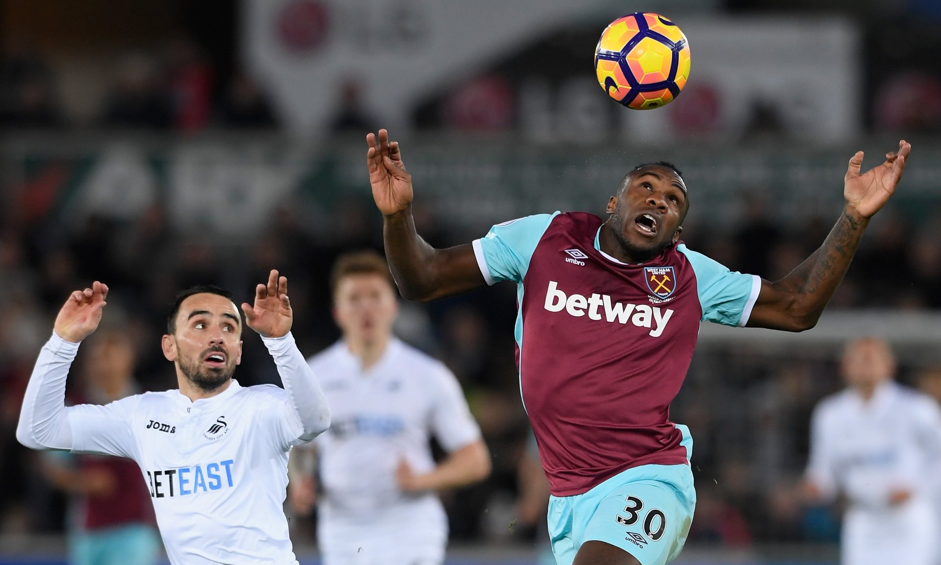 去留往往能 去留往往能